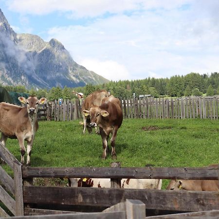 Huberhof Villa San Giuseppe in Anterselva Eksteriør bilde